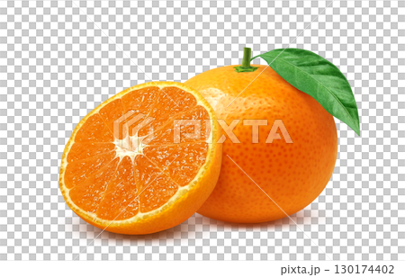 橘子插圖逼真的白色背景 130174402