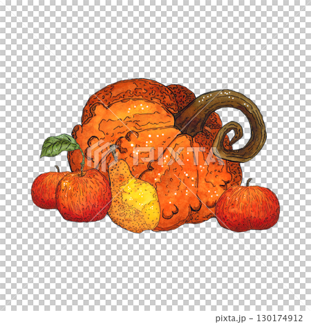 Bright, autumn composition of red apples, pumpkin and pear. Hand-drawn illustration with watercolor and ink. Drawing for poster, print, scrapbooking. Autumn, harvest, fruits, food, diet, vitamins Bright, autumn composition of red apples, pumpkin and pear. Hand-drawn illustration with watercolor and ink. Drawing for poster, print, scrapbooking. Autumn, harvest, fruits, food, diet, vitamins 130174912