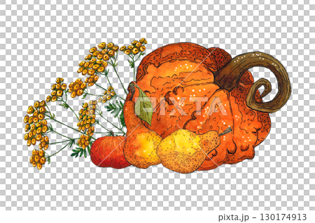 Bright, autumn composition of red apples, pumpkin, pear, tansy flowers. Hand-drawn illustration with watercolor and ink. Drawing for poster, print, scrapbooking. harvest, fruits, food, diet, vitamins Bright, autumn composition of red apples, pumpkin, pear, tansy flowers. Hand-drawn illustration with watercolor and ink. Drawing for poster, print, scrapbooking. harvest, fruits, food, diet, vitamins 130174913