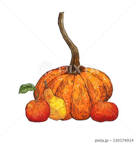 Autumn composition of red apples, pumpkin and pear. Hand-drawn illustration with watercolor and ink. Drawing for poster, print, scrapbooking. harvest, fruits, food, diet, vitamins 130174914