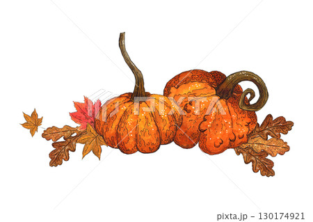 Autumn composition of leaves and pumpkins. Watercolor illustration hand drawn. Drawing for stickers, poster, scrapbooking. Autumn, harvest, maple leaf, pumpkin, orange 130174921