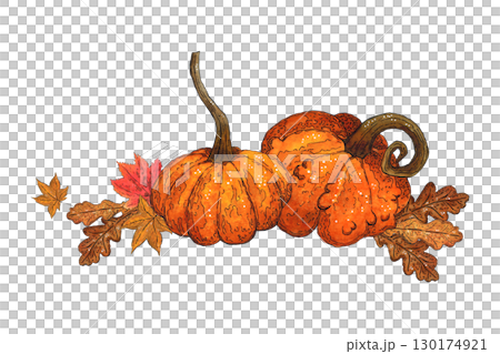 Autumn composition of leaves and pumpkins. Watercolor illustration hand drawn. Drawing for stickers, poster, scrapbooking. Autumn, harvest, maple leaf, pumpkin, orange 130174921