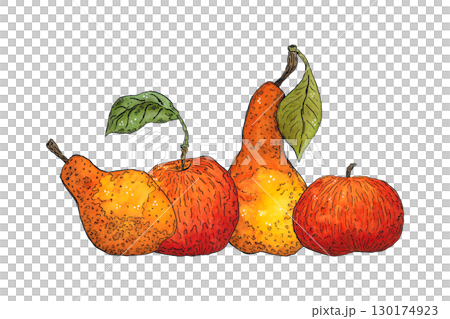 Bright, autumn composition of apples and pears. Hand-drawn illustration with watercolor and ink. Drawing for poster, print, scrapbooking. Autumn, harvest, fruits, food, diet, vitamins 130174923