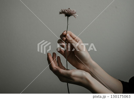 Tender Hands Holding a Single Flower 130175063