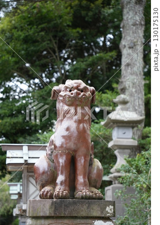 大洗磯崎神社 こま犬 大洗磯崎神社 こま犬 130175130