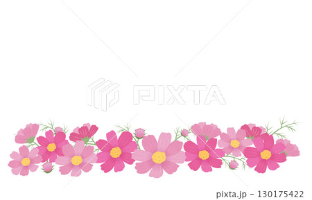 ピンクのコスモスのフレームイラスト 130175422