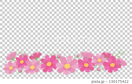 ピンクのコスモスのフレームイラスト 130175422