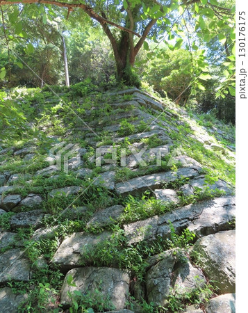 史跡和歌山城、虎伏山とらふすやまに立つ和歌山県のシンボル、紀州徳川家の居城 130176175