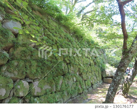 史跡和歌山城、虎伏山とらふすやまに立つ和歌山県のシンボル、紀州徳川家の居城 史跡和歌山城、虎伏山とらふすやまに立つ和歌山県のシンボル、紀州徳川家の居城 130176177