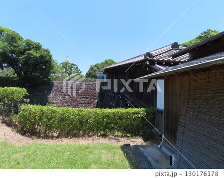 史跡和歌山城、虎伏山とらふすやまに立つ和歌山県のシンボル、紀州徳川家の居城 130176178