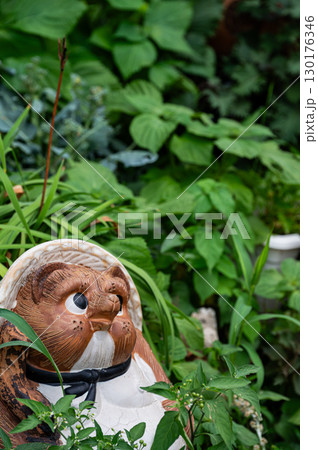 縁起物の狸の置物と青々とした葉|日本の伝統的な庭風景 縁起物の狸の置物と青々とした葉|日本の伝統的な庭風景 130176346