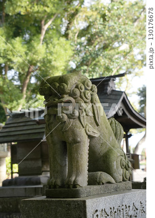 狛犬　酒列磯前神社 130176678