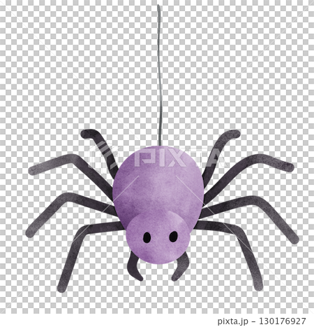 Halloween spider Halloween spider 130176927