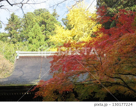 紅葉に包まれたお寺 130177224
