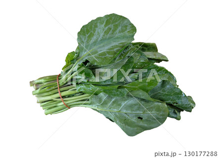 Chinese broccoli or Chinese kale is a leafy vegetable with thick 130177288