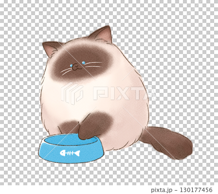 Cat staring at empty food bowl 130177456