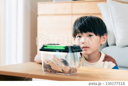 クワガタの観察をする男の子 クワガタの観察をする男の子 130177518