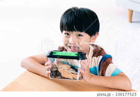 クワガタの観察をする男の子 130177523