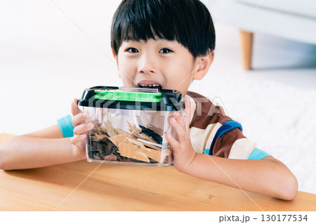 クワガタの観察をする男の子 クワガタの観察をする男の子 130177534