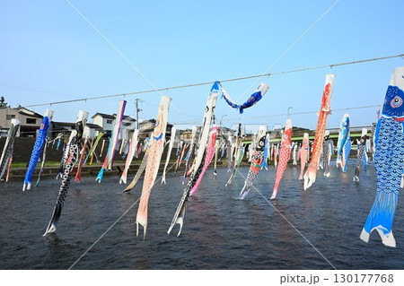 加茂川の鯉のぼり（新潟県） 130177768