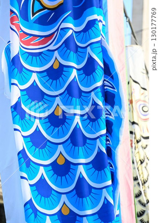 加茂川の鯉のぼり（新潟県） 130177769