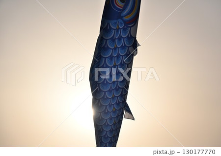 加茂川の鯉のぼり（新潟県） 130177770