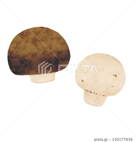 マッシュルーム 130177836