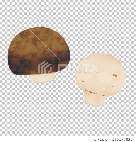 マッシュルーム 130177836