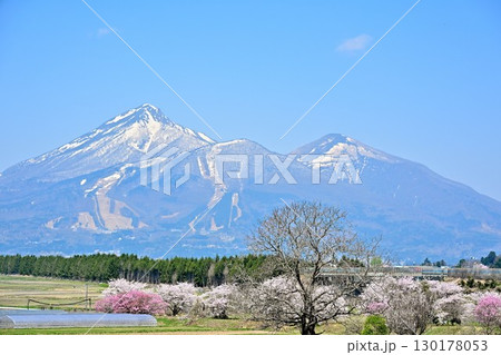 会津磐梯山と桜（福島県） 130178053
