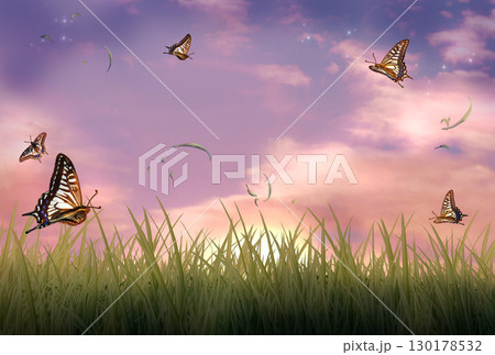 草原を舞う蝶と夕焼け空 草原を舞う蝶と夕焼け空 130178532