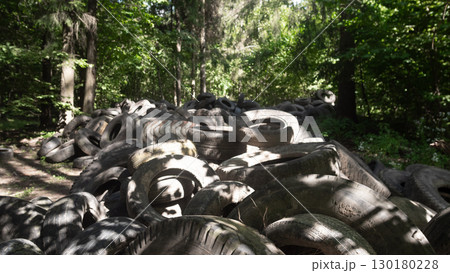 A dense and lush forest setting filled with discarded tires, emphasizing significant environmental concerns A dense and lush forest setting filled with discarded tires, emphasizing significant environmental concerns 130180228