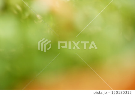 Abstract defocus blank of green, yellow, orange color for background in natural environment artworks. Template for backdrop, screensaver, wallpaper 130180313