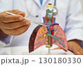 Pneumonia, lung cancer, Asian doctor holding human anatomy model for study diagnosis and treatment in hospital. 130180330