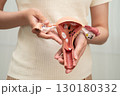 Uterus, Asian woman holding human anatomy model. 130180332