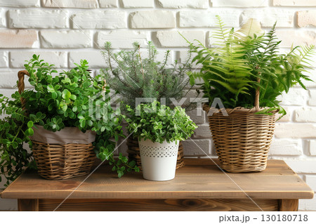 Assortment of lush green houseplants in pots and baskets on wood countertop Assortment of lush green houseplants in pots and baskets on wood countertop 130180718
