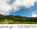 北八ヶ岳ロープウェイ山頂駅から見た北八ヶ岳の青空と緑豊かな山並み 130180759