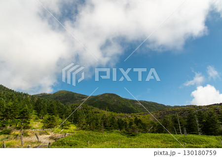 北八ヶ岳ロープウェイ山頂駅から見た北八ヶ岳の青空と緑豊かな山並み 130180759