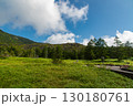 北八ヶ岳ロープウェイ山頂駅から見た北八ヶ岳の青空と緑豊かな山並み 130180761