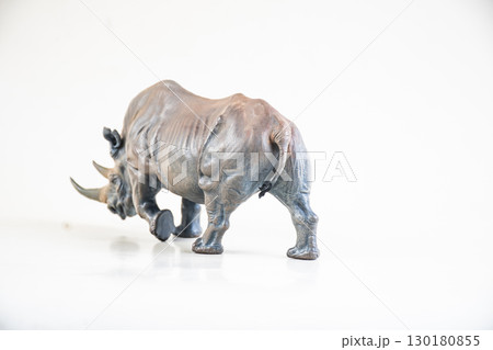 black rhino  on isolated background 130180855