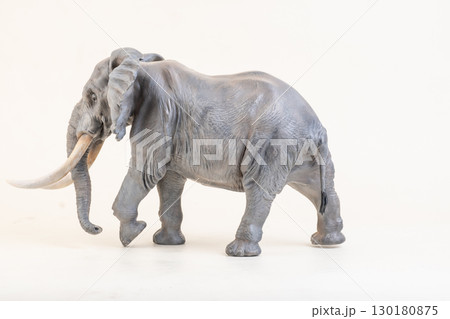 African elephant on isolated background 130180875