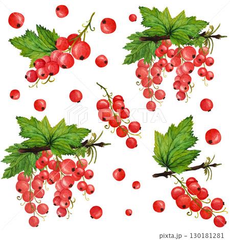 Red currant berries with lush green leaves, watercolor seamless pattern on white background. Bright red berries watercolor seamless pattern for design of textile, juice, jam, lemonade, sweets and eco Red currant berries with lush green leaves, watercolor seamless pattern on white background. Bright red berries watercolor seamless pattern for design of textile, juice, jam, lemonade, sweets and eco 130181281