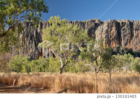 Limestone walls - Windjana Gorge National Park 130181483