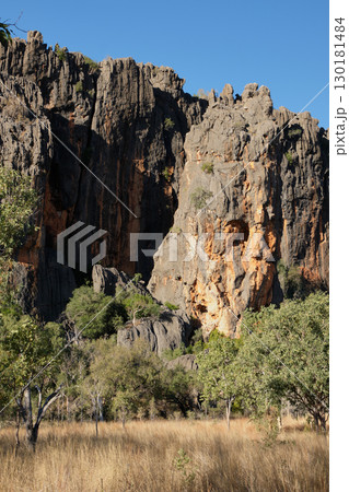 Limestone walls - Windjana Gorge National Park 130181484