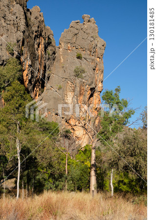 Limestone walls - Windjana Gorge 130181485