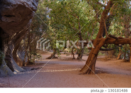 Gorge Trail - Windjana Gorge 130181486