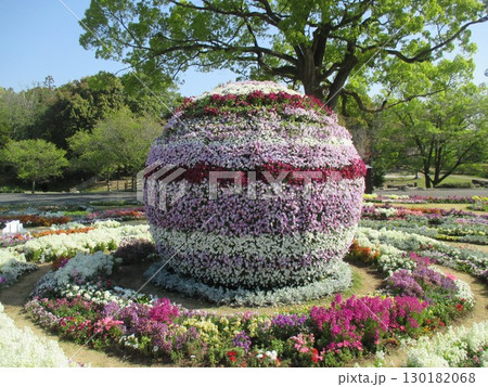 2022年くまもと花とみどりの博覧会（花博）の会場に展示されていた、花でできた球体 130182068