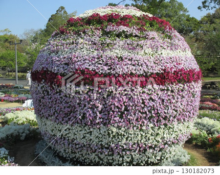 2022年くまもと花とみどりの博覧会（花博）の会場に展示されていた、花でできた球体 130182073