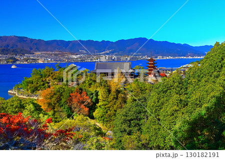 【広島県】紅葉した秋の宮島（厳島神社） 130182191