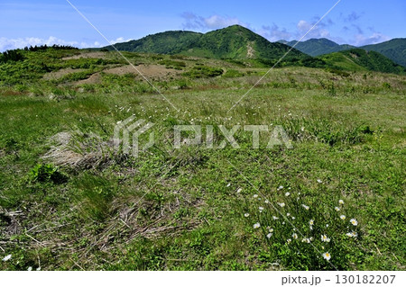 佐渡島ドンデン山・論天山山頂 130182207
