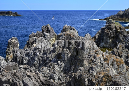 佐渡島の尖閣湾 佐渡島の尖閣湾 130182247